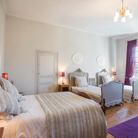 Chateau Sleeps 12 Pool Wifi * Blesignac